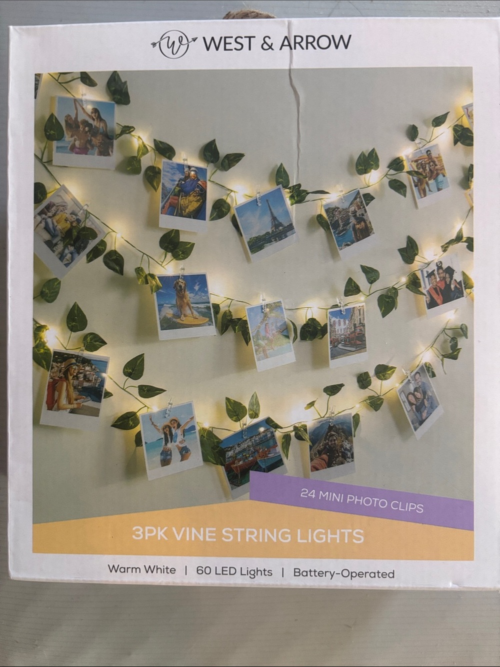 Green Vine String Lights with Warm White LEDs and Photo Clips